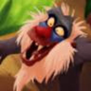 Meet your Posher, Addyson